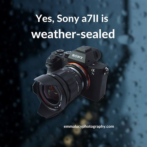 a7ii battery door weather sealing